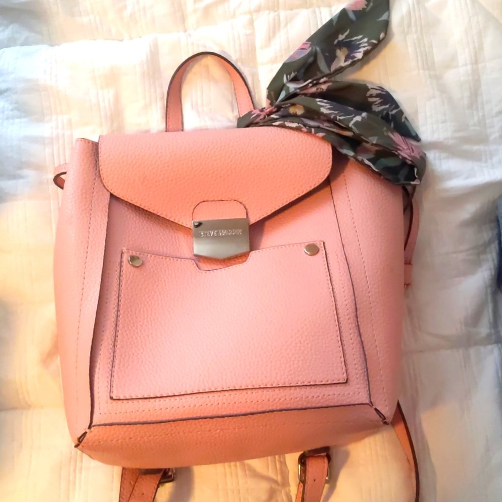Steve Madden Blush Pink Bag